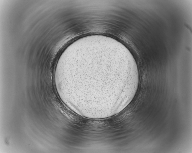 X0000102031027200808151336