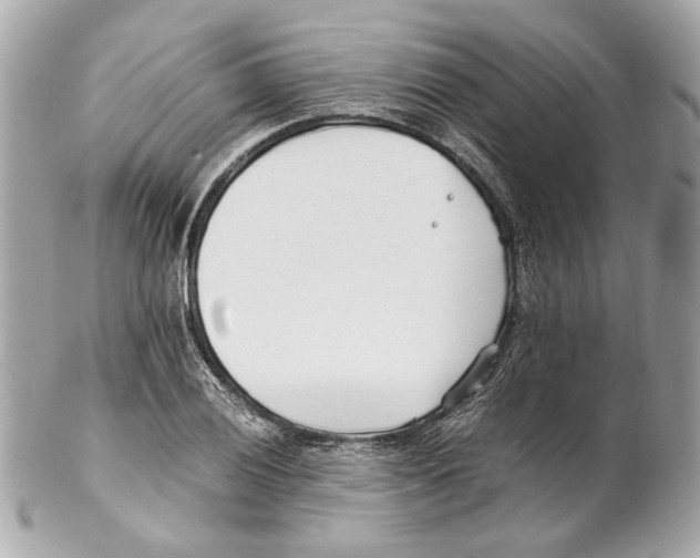 X0000102031028200808151336