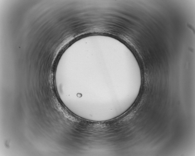 X0000102031029200808151336