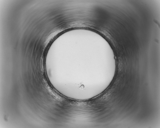 X0000102031030200808151336