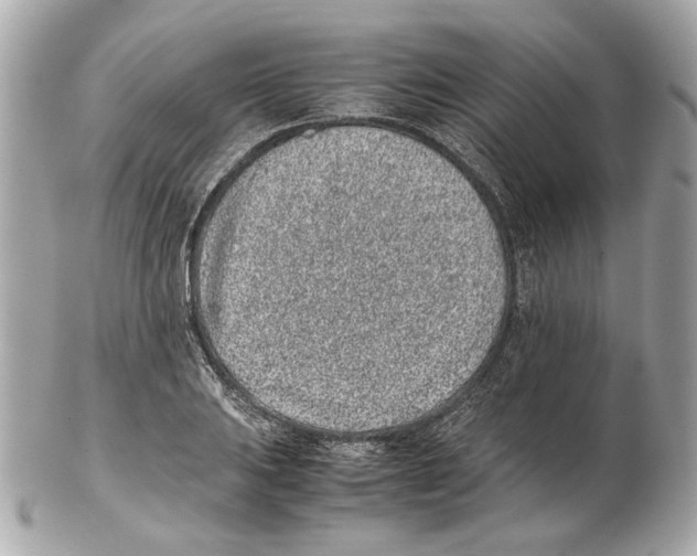 X0000102031031200808151336