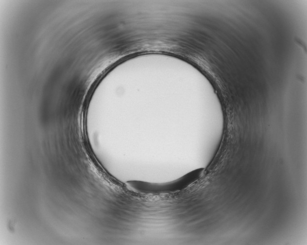 X0000102031032200808151336