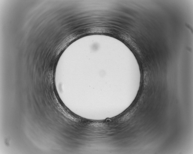 X0000102031033200808151336