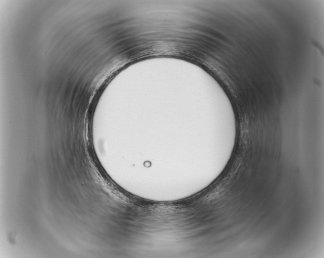 X0000102031034200808151336