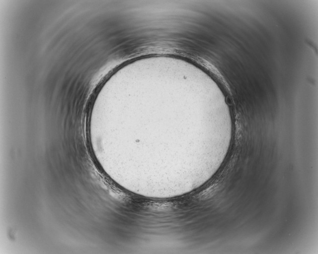 X0000102031035200808151336