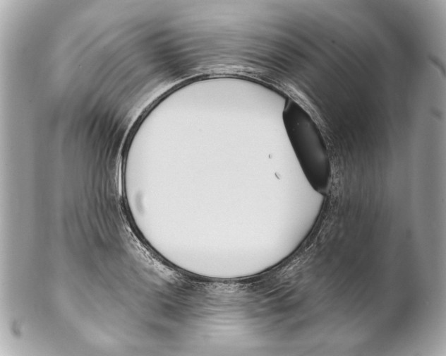 X0000102031036200808151336