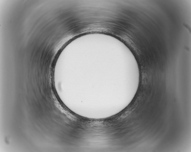 X0000102031038200808151336