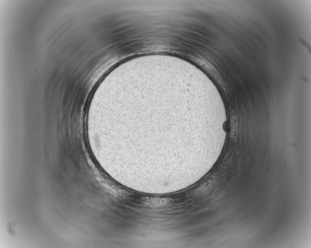 X0000102031039200808151336