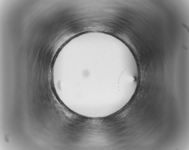 X0000102031040200808151336