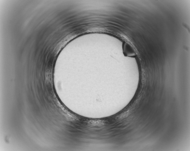 X0000102031041200808151336