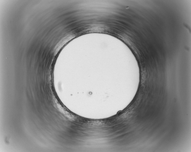 X0000102031042200808151336