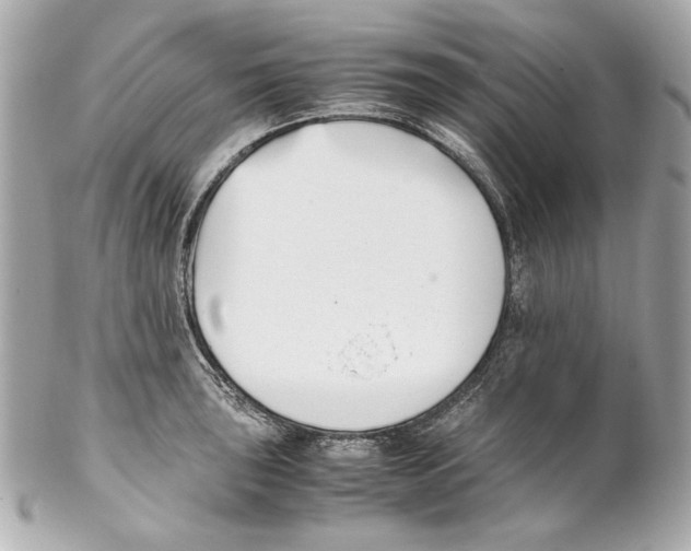 X0000102031043200808151336