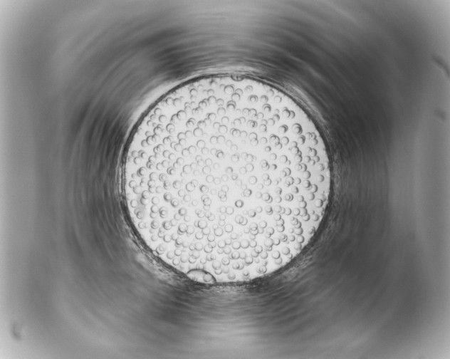 X0000102031044200808151336