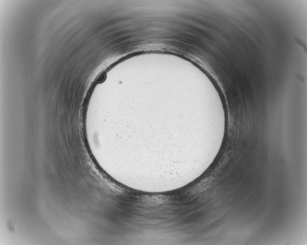 X0000102031045200808151336