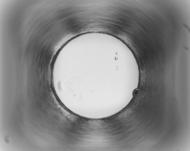 X0000102031046200808151336