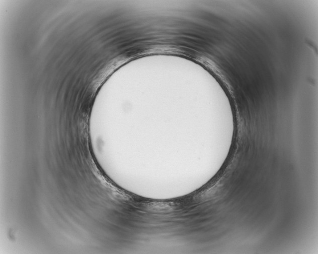 X0000102031049200808151336