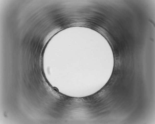 X0000102031050200808151336