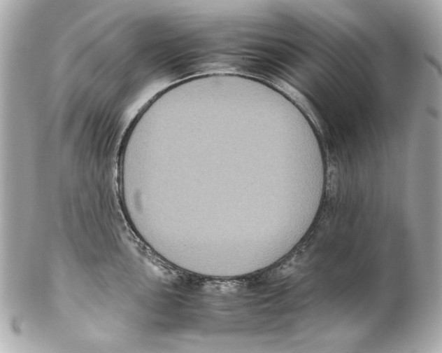 X0000102031051200808151336