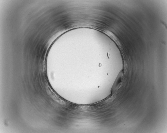 X0000102031052200808151336