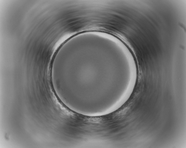 X0000102031053200808151336