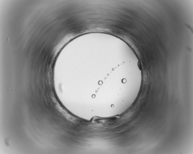 X0000102031054200808151336