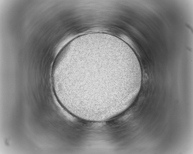 X0000102031055200808151336