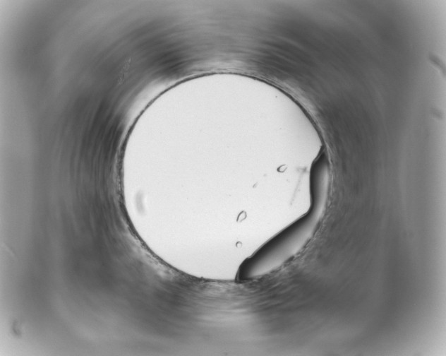 X0000102031056200808151336