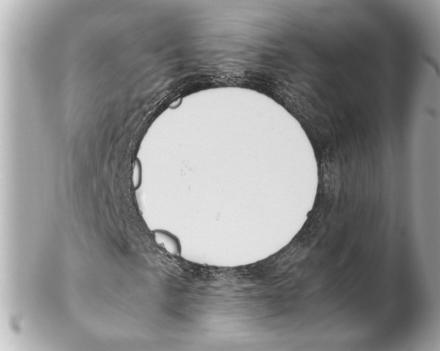 X0000102031057200808151335