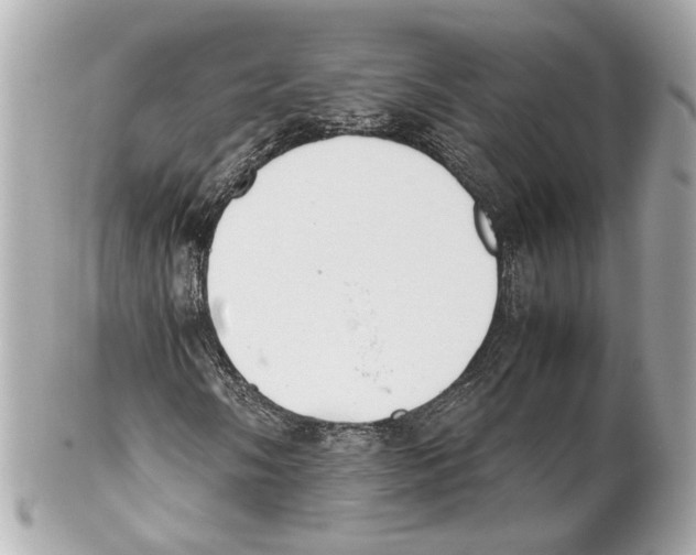 X0000102031058200808151335