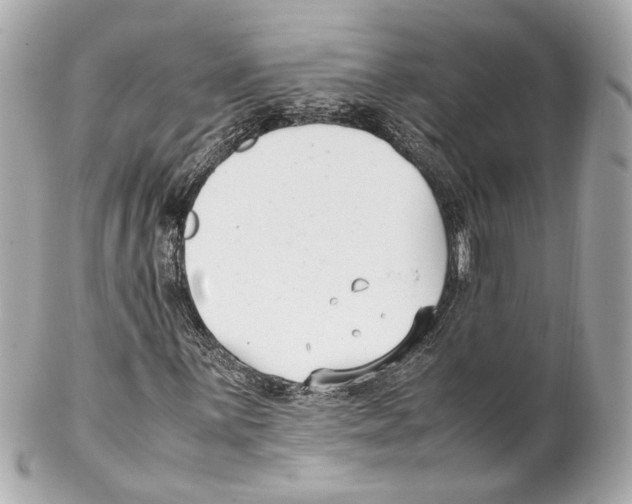 X0000102031059200808151335