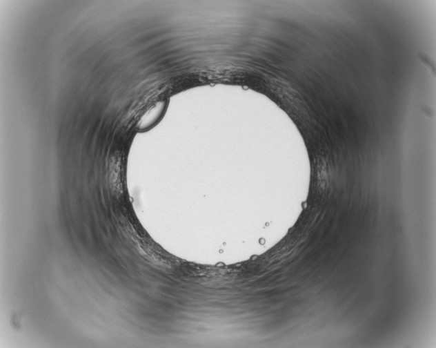 X0000102031060200808151335