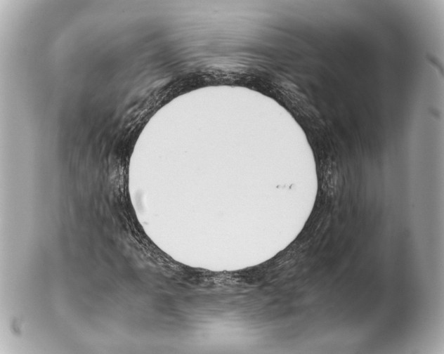 X0000102031061200808151335