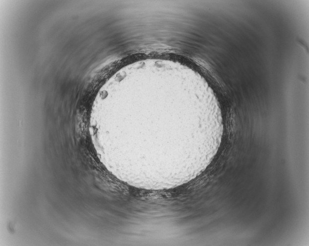 X0000102031063200808151335