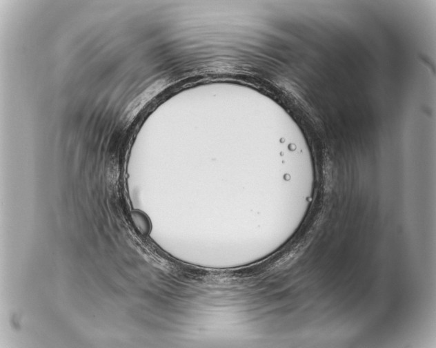 X0000102031065200808151335