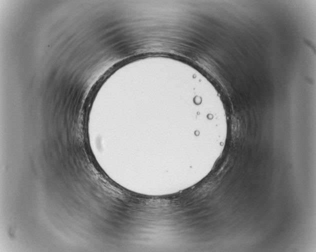 X0000102031068200808151335