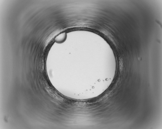 X0000102031069200808151335