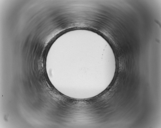 X0000102031070200808151335