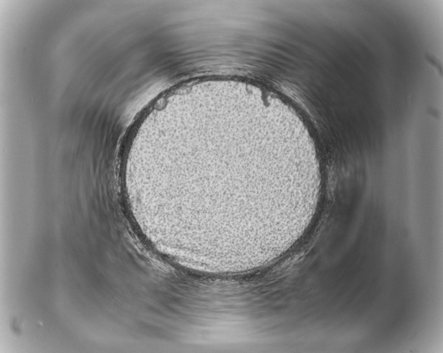 X0000102031071200808151335