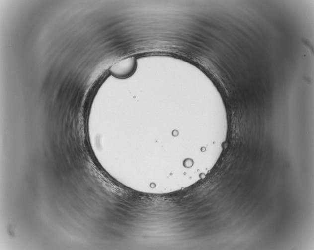 X0000102031072200808151335