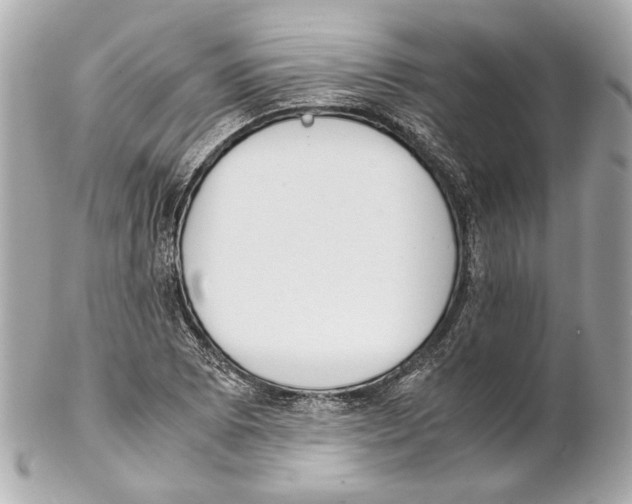 X0000102031073200808151335