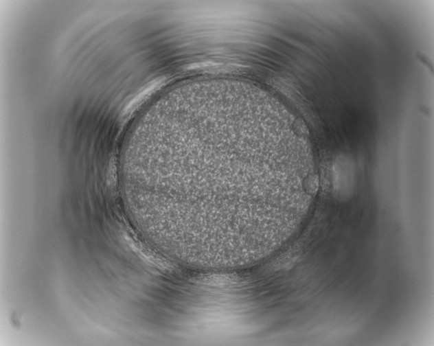 X0000102031074200808151335