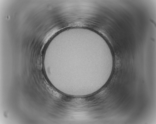 X0000102031075200808151335