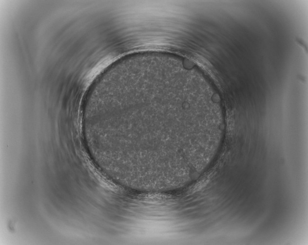 X0000102031077200808151335