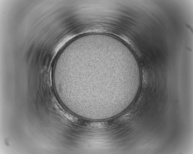 X0000102031078200808151335