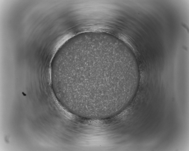 X0000102031079200808151335