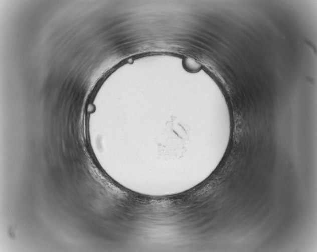 X0000102031080200808151335