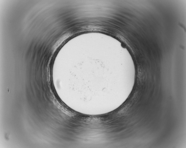 X0000102031082200808151335