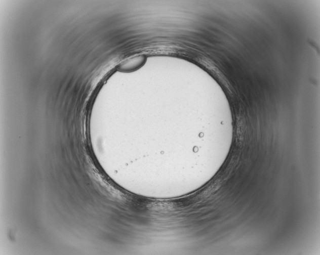 X0000102031083200808151335