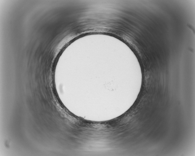 X0000102031085200808151335