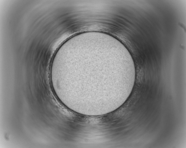 X0000102031086200808151335